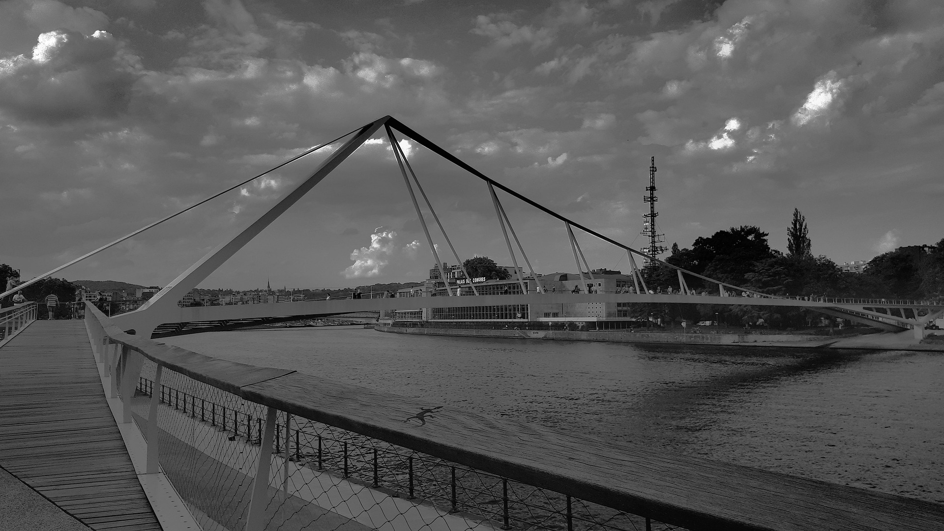 Contact Avocat Liège CODA